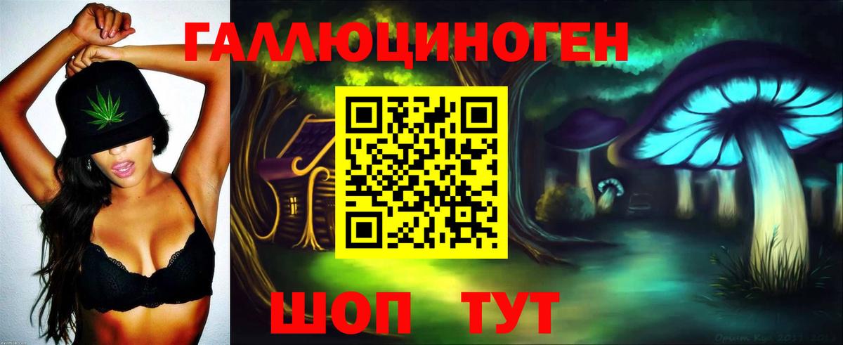 Псилоцибиновые грибы мицелий Усть-Джегута